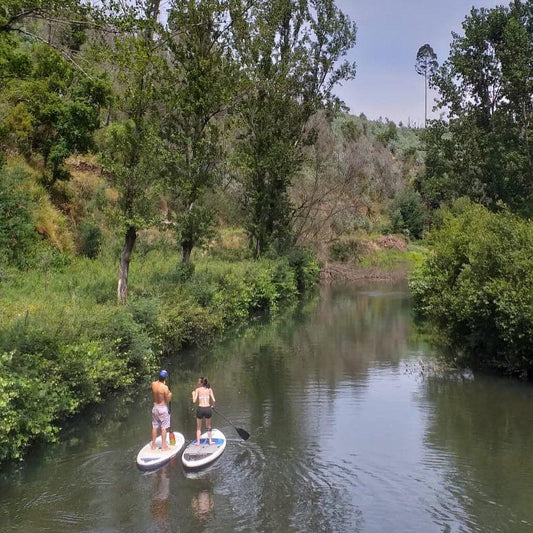 Standuppaddle Tours 4 pax - tptoursporto