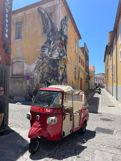 🛺 1h 1h30 2h Tuk Tuk Tour