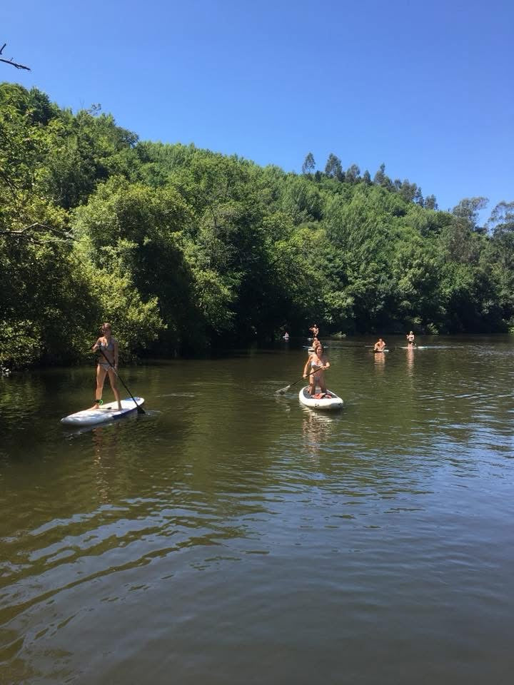 🛶 Standuppaddle Tours 4 pax