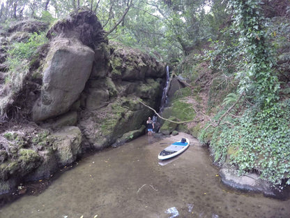 Standuppaddle Tours 4 pax - tptoursporto